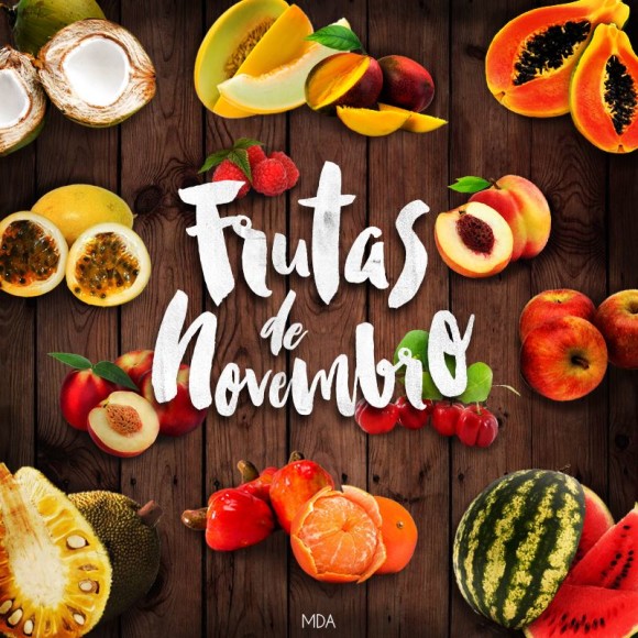 frutas-de-novembro